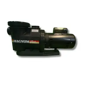 filter pump 3 HP, Variable Speed Pump, Recirculation system